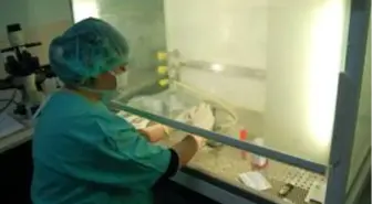 Elektromanyetik dalgaların anne karnındaki bebeğe etkisi araştırıldı