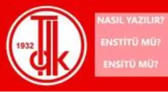 Enstitü nasıl yazılır? Enstitü mü, ensitü mü? Enstitü ne demek?