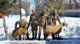 Muş'ta Merkez İlçe Jandarma Komutanlığı hizmet binası açıldı