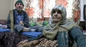 58 yıllık hayat arkadaşına 15 yıldır 'bebek' gibi bakıyor