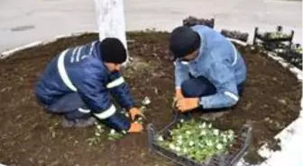 Ürettikleri çiçeklerle Ceyhan'ı süslüyorlar