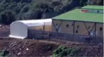  adalar'da atları satın alma işlemi başladı