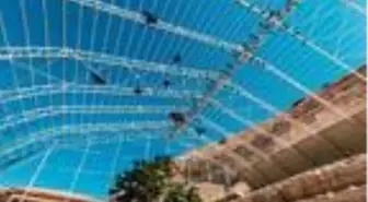 Birecik Kelaynak Üretme İstasyonu'na yılda 100 bin ziyaretçi