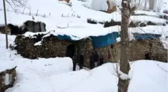 Bitlis'te ahırda unutulan mum nedeniyle çıkan yangında 70 hayvan telef oldu