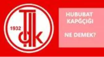 Hububat kapçığı ne demek? Kapçık ne demek? Hububat ne demek?