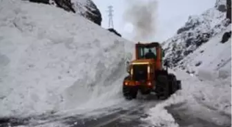 Hakkari-Çukurca kara yoluna çığ düştü