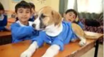 Köy okulunun maskotu olan köpek Fındık rahatsızlandı