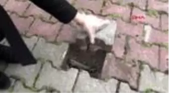 Elektrik arızasını tespitte artık köpekler devrede