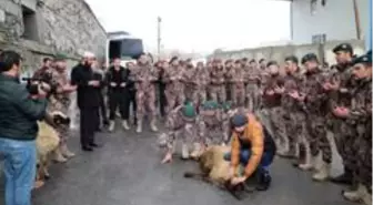 Hakkari özel harekat polislerine dualar eşliğinde çığ eğitimi