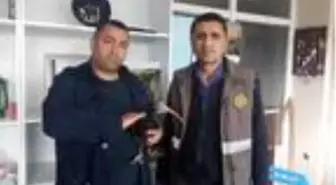 Kelaynak, köpek saldırısından kurtarıldı