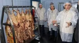 Ağrı'da gıda denetim seferberliği tamamlandı