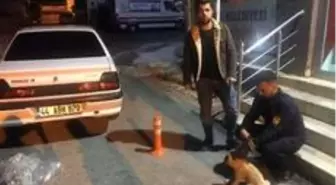 Duyarlı vatandaş yaralı köpeği belediyeye teslim etti