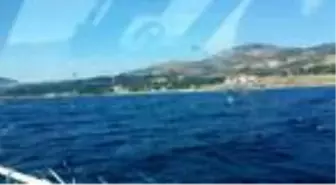 İmralı Adası'nda orman yangını