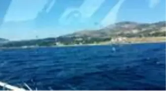 İmralı Adası'ndaki yangın kontrol altına alındı