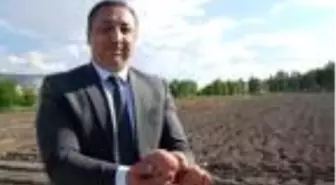 Niğde Patates Araştırma Enstitüsü, yılın 12 ayı patates üretiyor