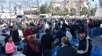 Bursa'daki festivalde 2 ton hamsi dağıtıldı