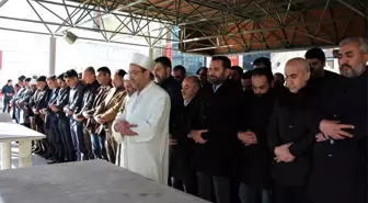 İdlib şehitleri için Elazığ'da gıyabi namaz kılındı