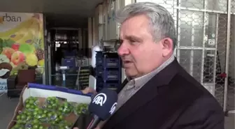Antalya toptancı halinde yeşil eriğin kilosu 750 lira