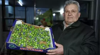 Aşeren anne adayları için getirilen ilk ürün yeşil eriğin kilosu 750 TL