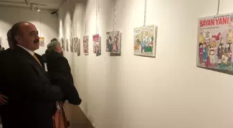 Çizgilerle toplumsal cinsiyet eşitliği
