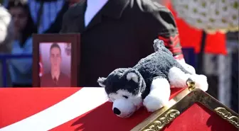 İdlib şehidinin tabutuna bırakılan Bozkurt isimli oyuncak köpek duygulandırdı