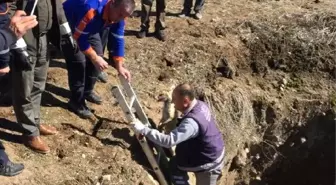 Kuyuya düşen 2 tilki kurtarıldı