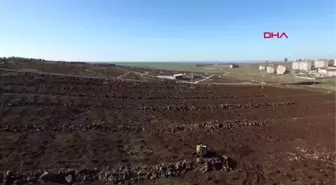 Şanlıurfa siverek'te 'kent ormanı' projesi