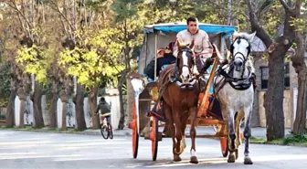 Adalar'da faytonların yerine kullanılacak elektrikli araçlar satın alındı! İşte görüntüleri