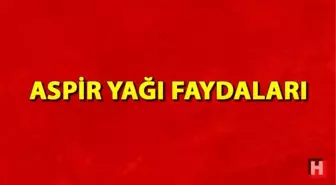 Aspir yağı nedir ve nasıl kullanılır? Aspir yağı faydaları nelerdir?