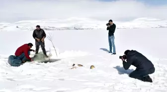 Eskimo usulü balık avına fotoğrafçı ilgisi