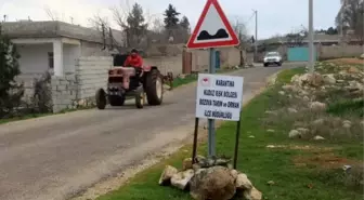 Kadını ısıran köpek telef oldu, tüm mahalle karantinaya alındı