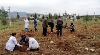 İslahiye'de şehit eşi ve anneleri adına fidan dikimi