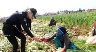 Polis, tarlada çalışan kadınları unutmadı