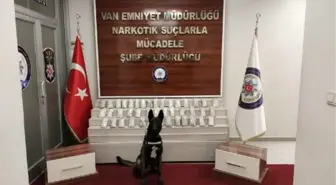 Van'da uyuşturucu operasyonu
