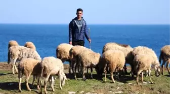 Çobanlık yapan genç, eğitim almadan başladığı dalga sörfünde Türkiye üçüncüsü oldu