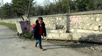 Fındık'ın okulunda hüzün yaşanıyor