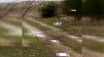 Denizli'de feci kaza...Sürücünün cesedi kaza yerinin ilerisinde bulundu