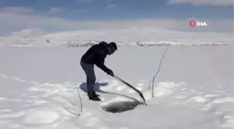 Donan gölde balık avladılar sonra buz gibi suda abdest alıp namaz kıldılar