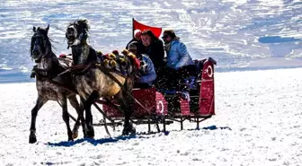 Mart ayında atlı kızak keyfi