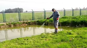 Tarsus'ta kamuya açık alanlar ve okullarda ilaçlama çalışmaları