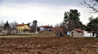 Lavanta Yetiştiriciliği Demonstrasyon Eğitim Bahçesi Projesi