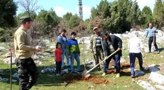 Beyşehir'de mahalleli gençlerden 'Benim de dikili bir fidanım olsun' etkinliği