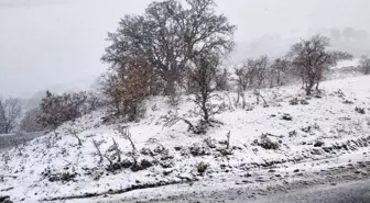 Kula'nın yüksek kesimlerinde kar yağışı etkili oluyor