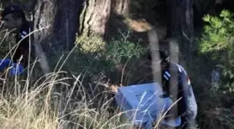 Kesik kol olayında fidye isteyen veterinere iki yıl önce borç vermiş (2)