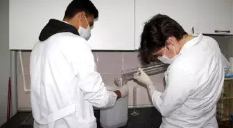 Liselilerden korona virüsüne karşı 10 kat daha etkili dezenfektan