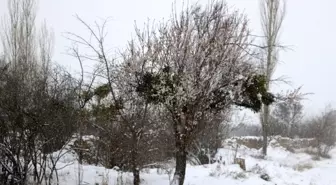 Niğde, Mart ayında beyaza büründü