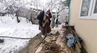 En uzun ömürlü insanlarının yaşadığı ilçe 'koronavirüsten' böyle korunuyor