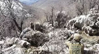 Mardin'de güvenlik güçlerine el bombası atma hazırlığında olan terörist etkisiz hale getirildi