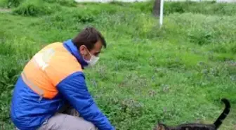 Nilüfer'de can dostları unutulmuyor