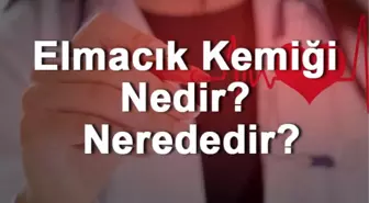 Elmacık Kemiği Nedir? Nerededir? Elmacık Kemiği Ağrısı, Kırığı ve Tedavisi